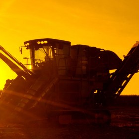 Fotografia – Agronegócio