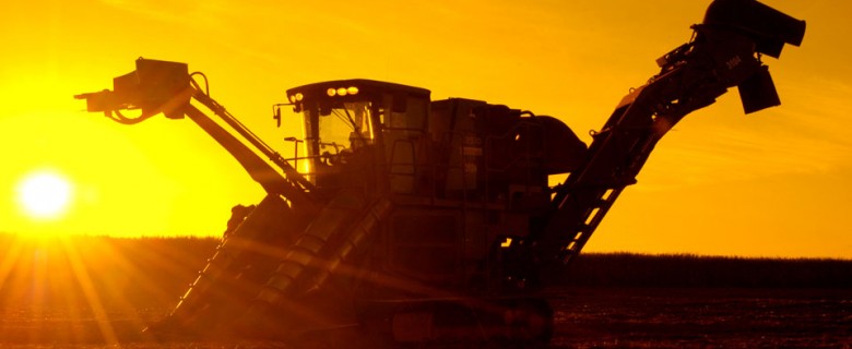 Fotografia – Agronegócio