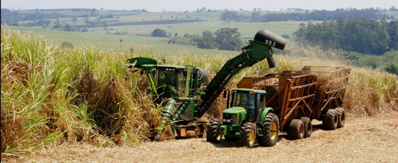 Fotografia – Agronegócio