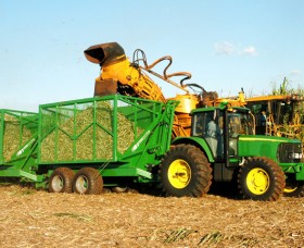 Fotografia – Agronegócio
