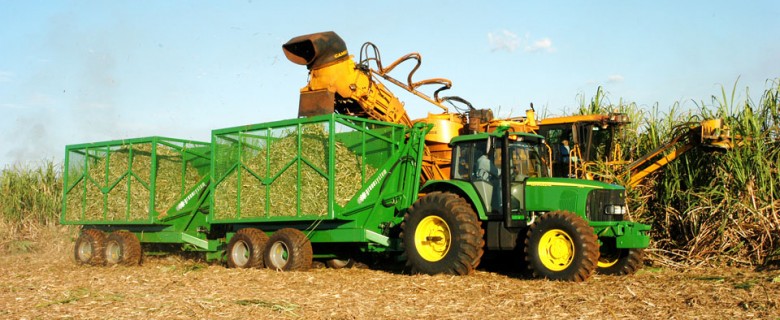 Fotografia – Agronegócio