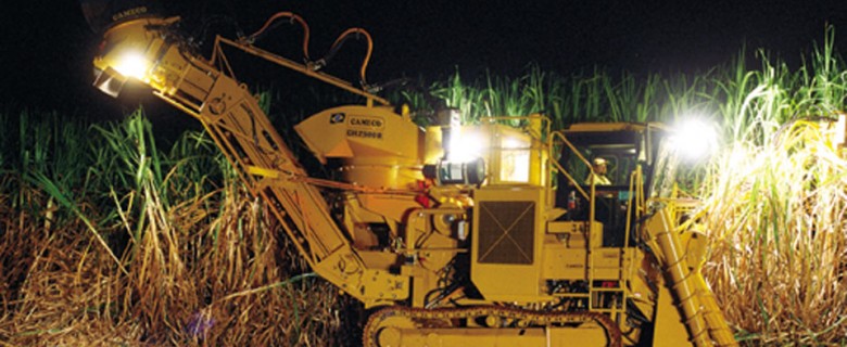 Fotografia – Agronegócio