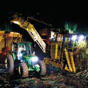 Fotografia – Agronegócio