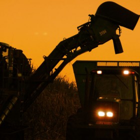 Fotografia – Agronegócio