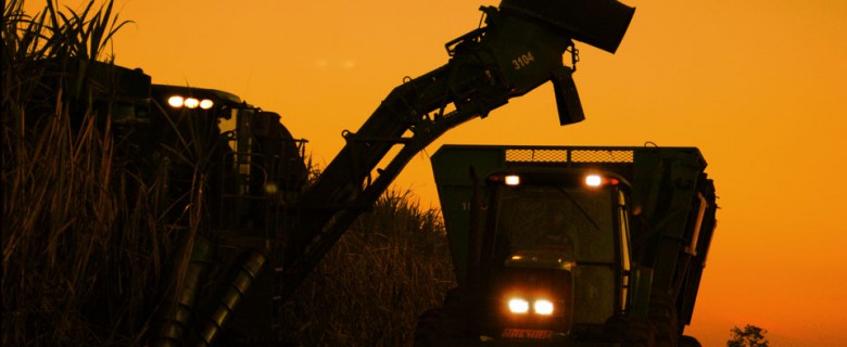 Fotografia – Agronegócio