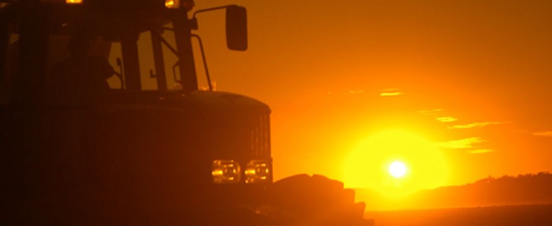 Fotografia – Agronegócio