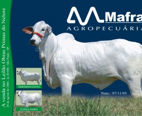 Fotografia – Agronegócio