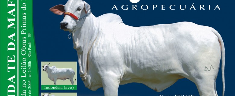 Fotografia – Agronegócio